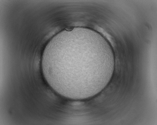 X0000116830153200912312042