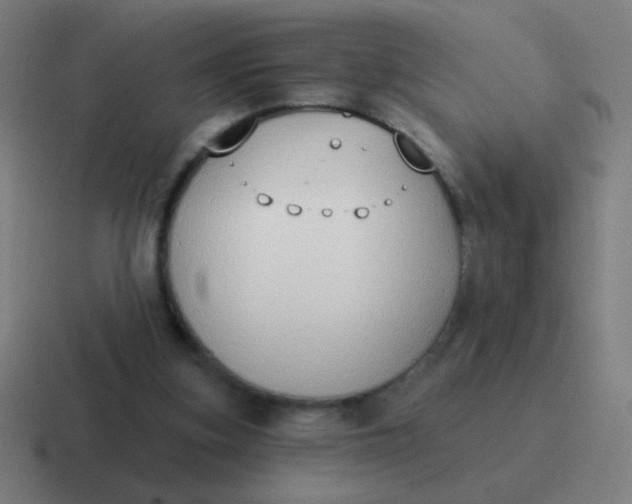X0000116830155200912312042