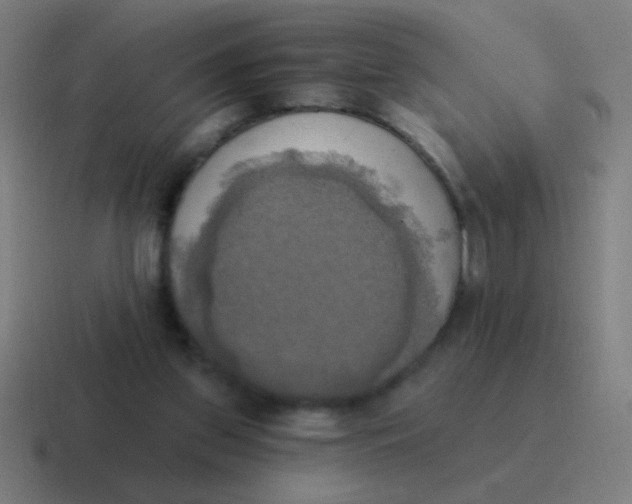 X0000116830157200912312042