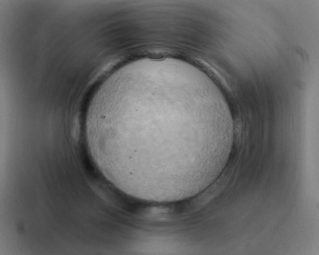 X0000116830158200912312042