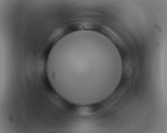 X0000116830169200912312042