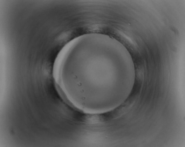 X0000116830181200912312042