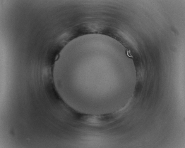 X0000116830182200912312042