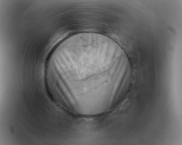 X0000116830194200912312042