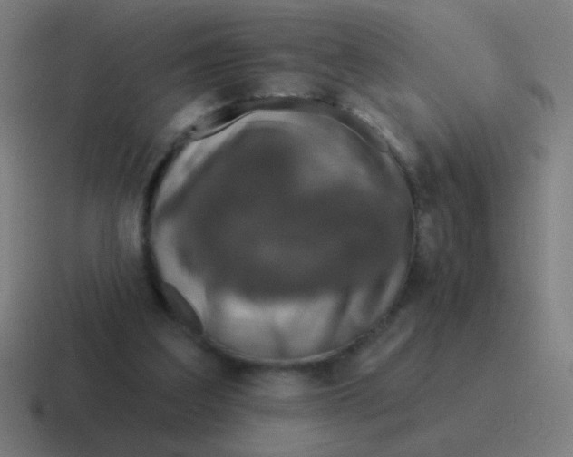 X0000116830203200912312041