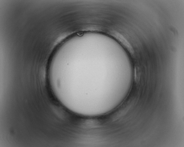 X0000116830204200912312041