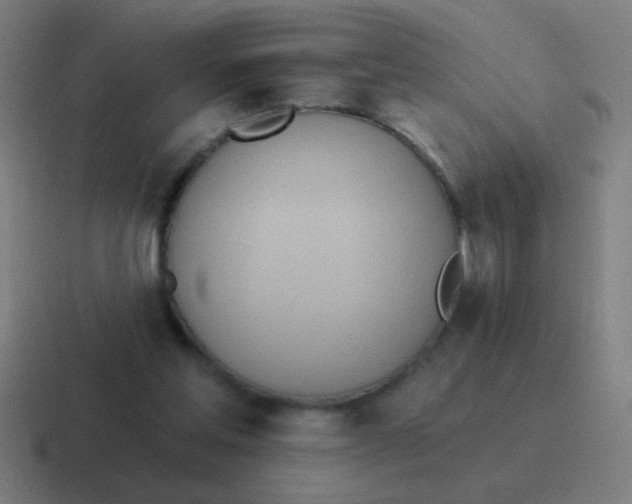 X0000116830205200912312041