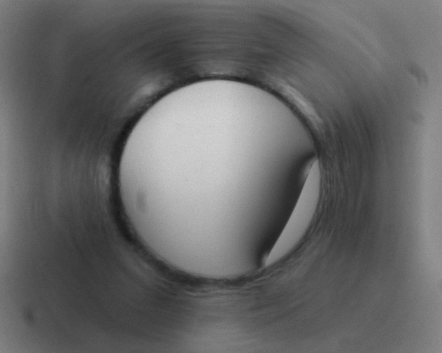 X0000116830207200912312041