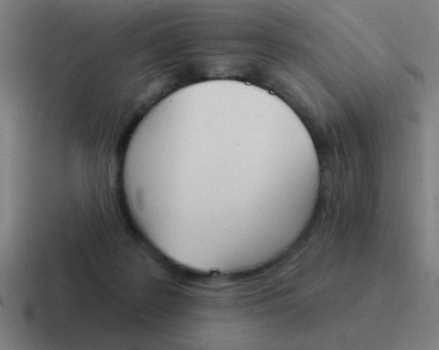 X0000116830219200912312041
