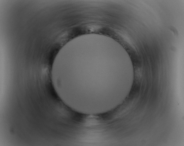 X0000116830222200912312041