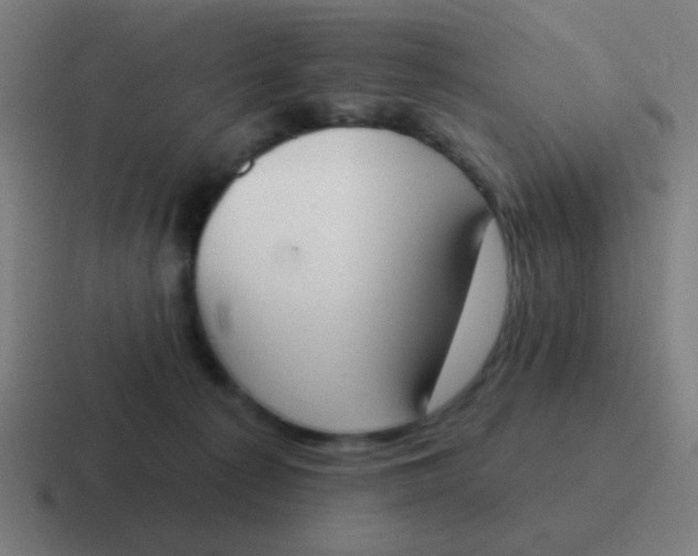 X0000116830225200912312041