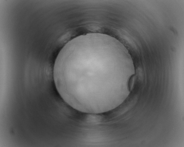 X0000116830234200912312041