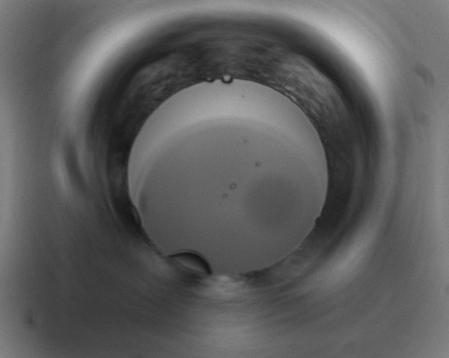 X0000116830239200912312041