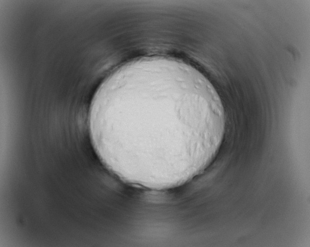 X0000116830240200912312041