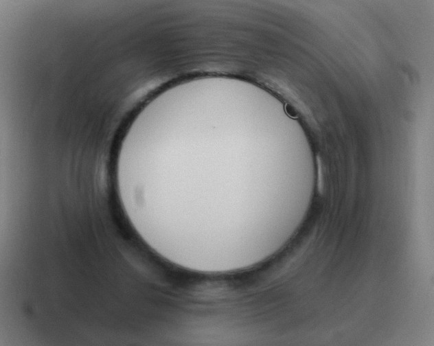 X0000116830252200912312041