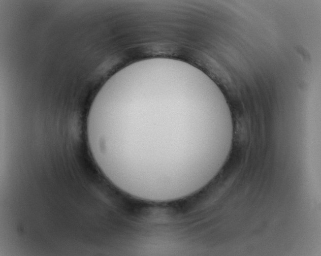 X0000116830255200912312041