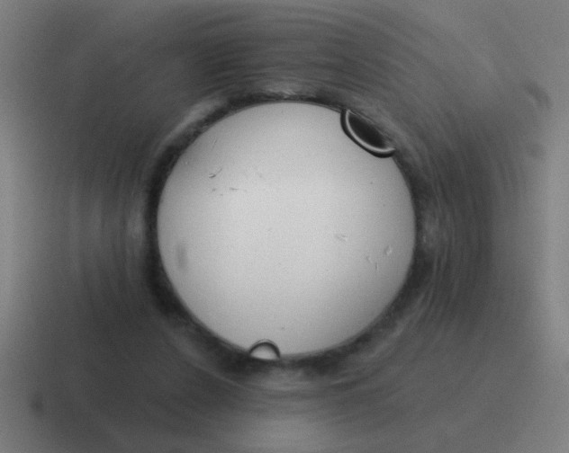 X0000116830256200912312041