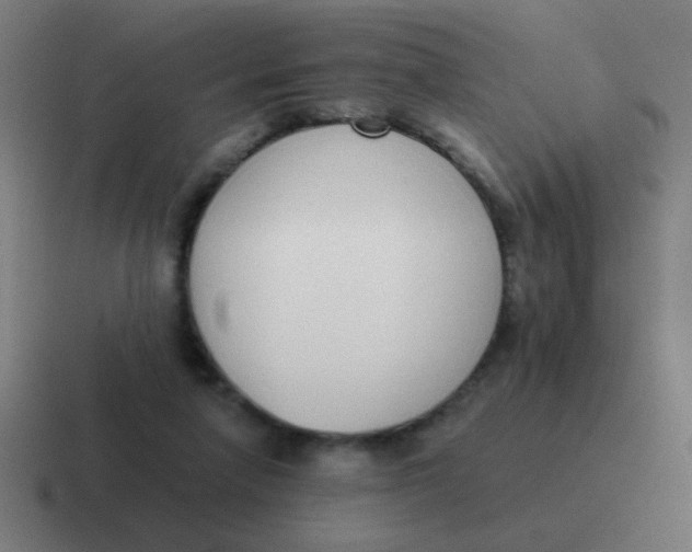 X0000116830258200912312041