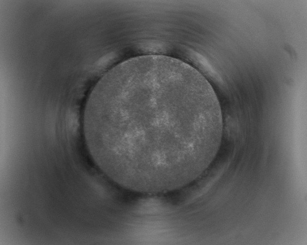 X0000116830259200912312041
