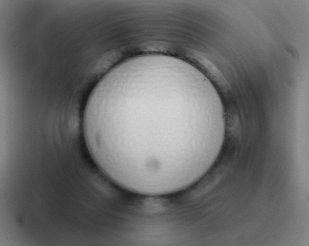 X0000116830261200912312041