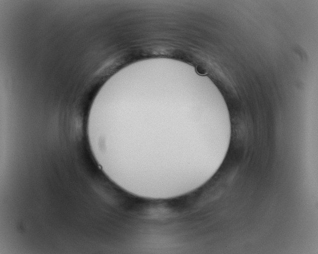 X0000116830262200912312041