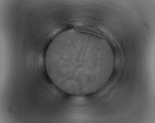 X0000116830282200912312041