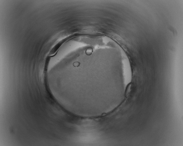 X0000116830290200912312040