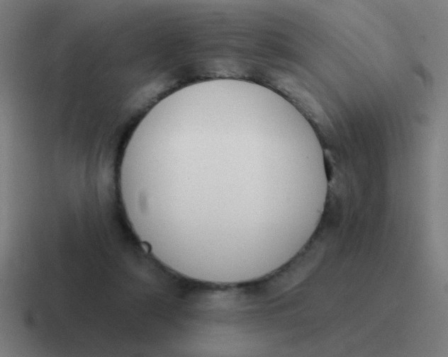 X0000116830306200912312040
