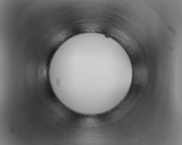 X0000116830310200912312040