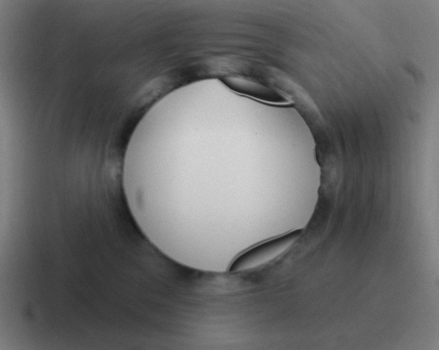 X0000116830329200912312040