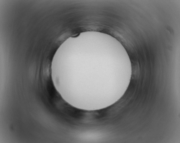 X0000116830334200912312040