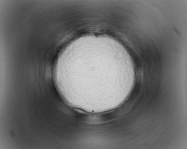X0000116830335200912312040