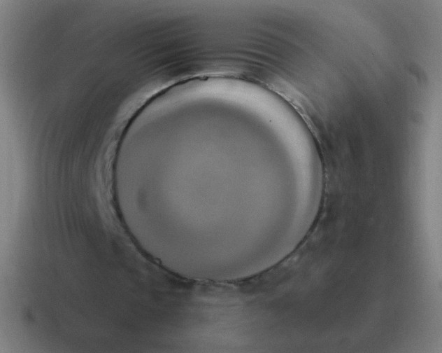 X0000116830337200912312039