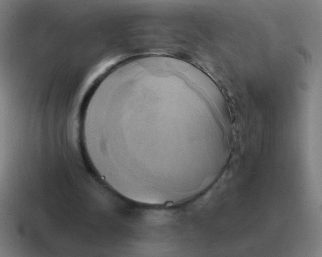 X0000116830342200912312039