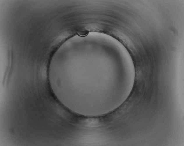 X0000116830353200912312039
