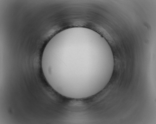 X0000116830354200912312039
