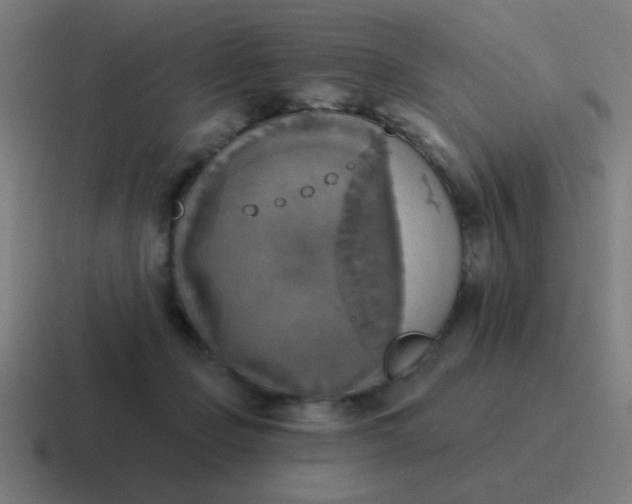 X0000116830365200912312040