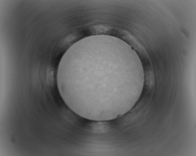 X0000116830378200912312040