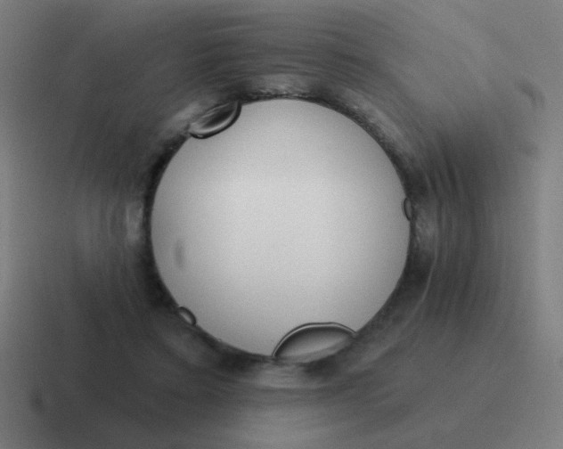 X0000116830403200912312039