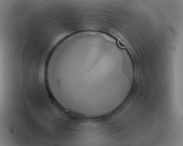 X0000116830434200912312038