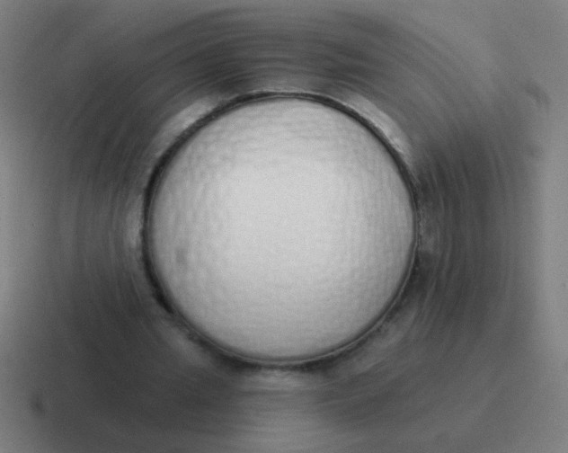 X0000116830437200912312038