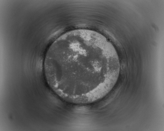 X0000116830454200912312038