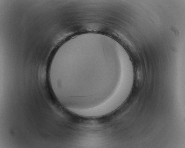 X0000116830492200912312038