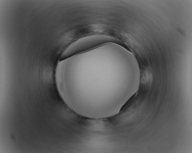 X0000116830524200912312037