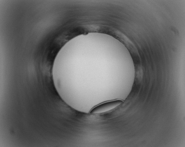 X0000116830525200912312037