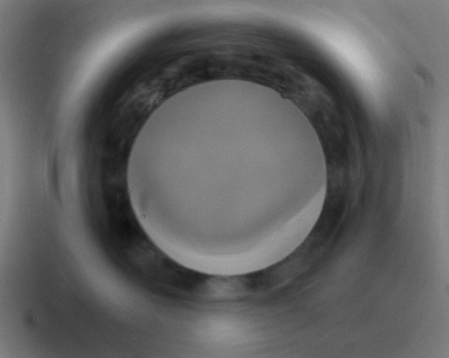 X0000116830526200912312037