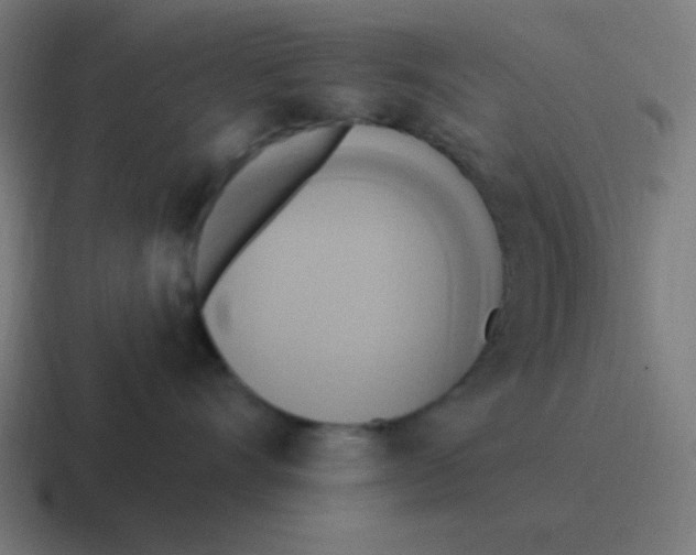 X0000116830528200912312037