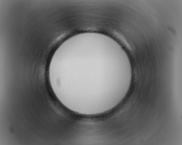 X0000116830538200912312037