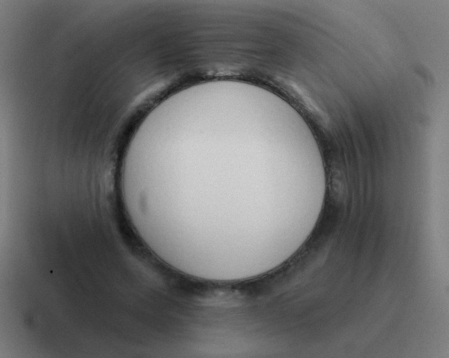 X0000116830543200912312037