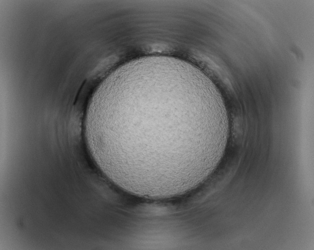 X0000116830545200912312037